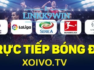 Giới thiệu kênh xem bóng đá trực tiếp Xoivo.tv